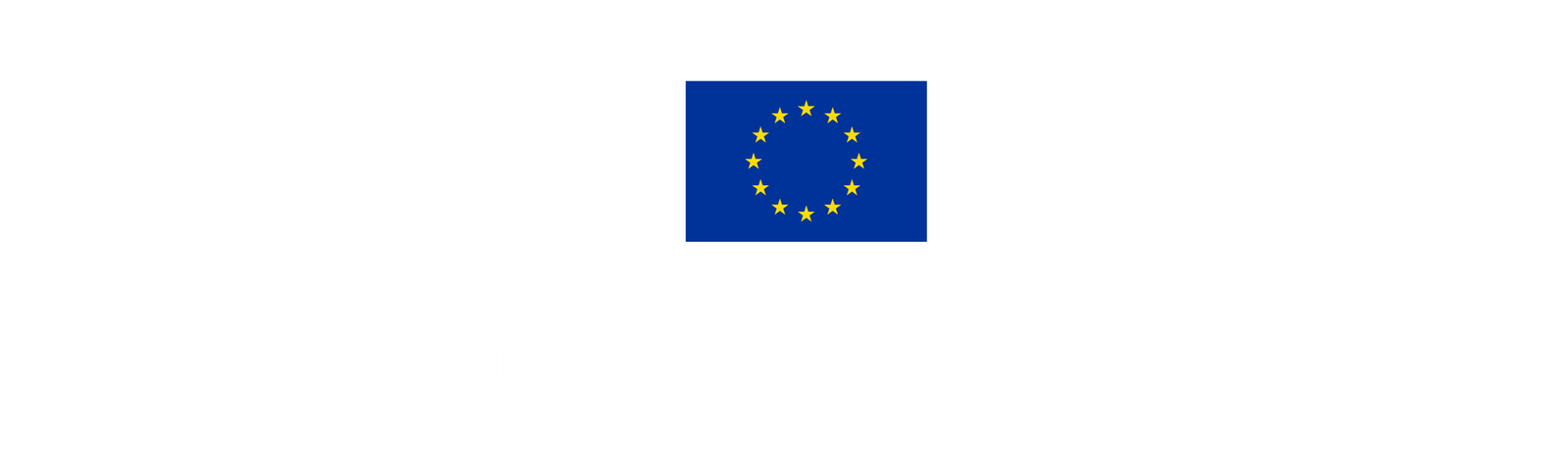 interreg eu logo ro white colour